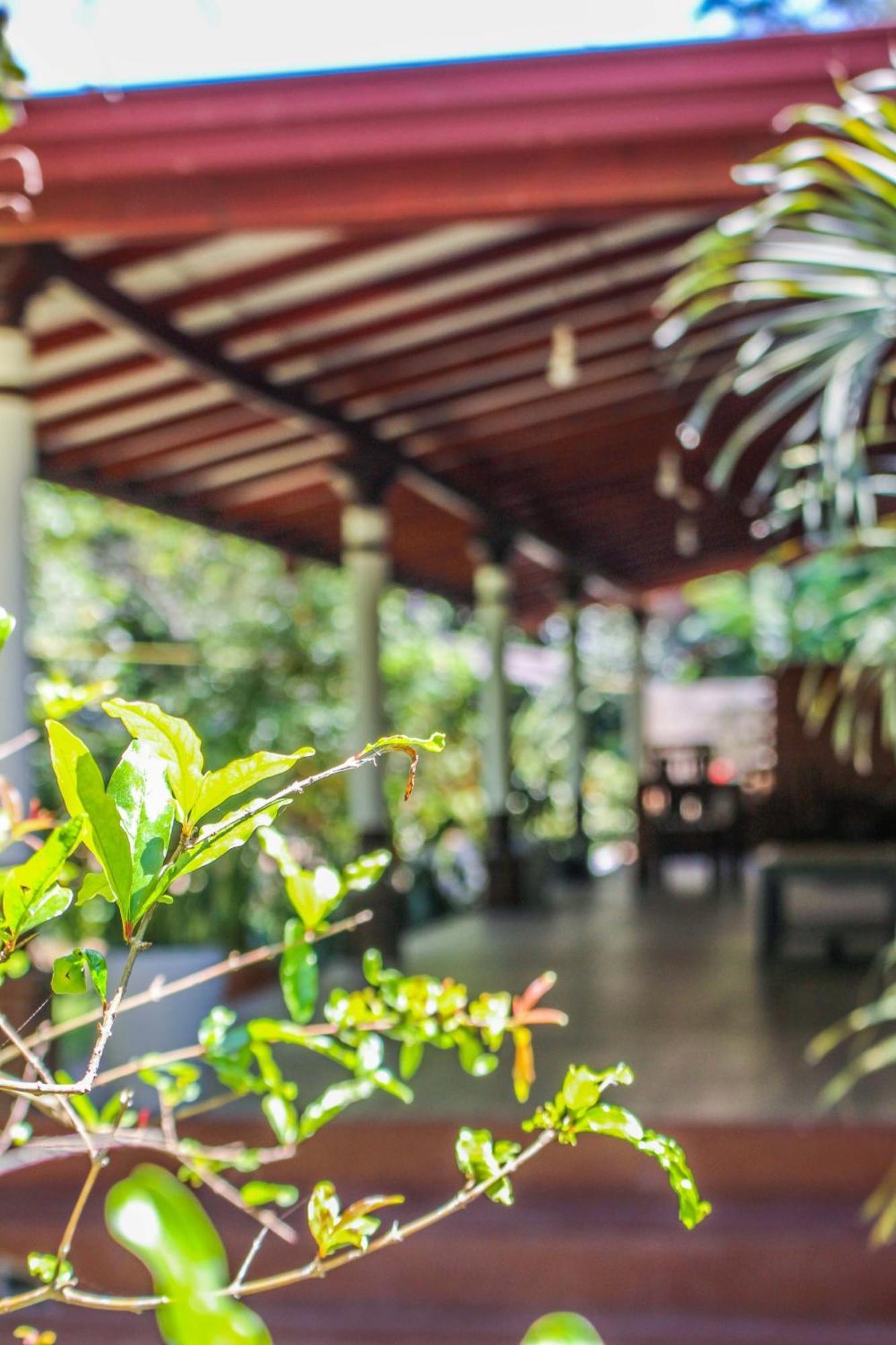 Lavender Homestay Ella Buitenkant foto